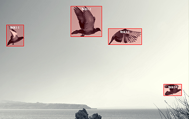 长运平台登录视频标注